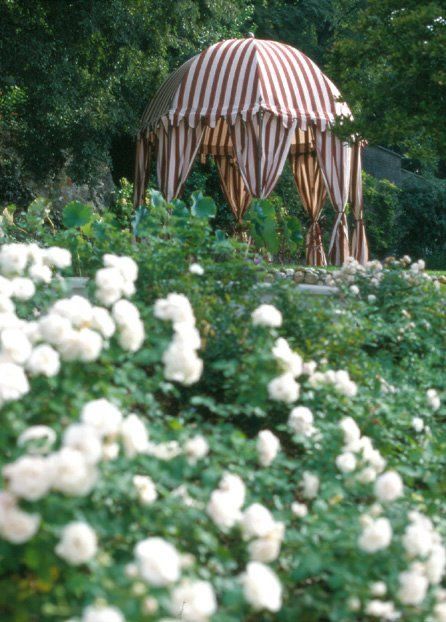 Flower Garden Aesthetic, Garden Tent, Outdoor Architecture, Aesthetic Decoration, Garden Aesthetic, Corten Steel, Aesthetic Ideas, Garden Structures, Pretty House