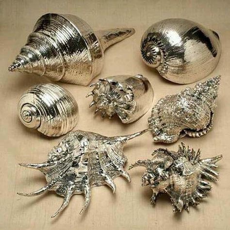 Silver Coated Seashells #diy #seashell #decor #decorhomeideas Large Sea Shells, Beach Inspired Decor, Seashell Projects, Art Coquillage, Seashell Painting, Dekor Diy, Silver Sea, She Sells Seashells, Painted Shells