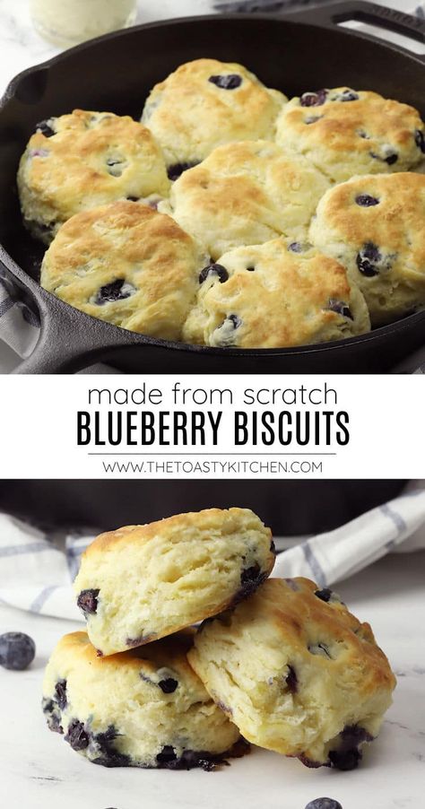 Blueberry biscuits recipe by The Toasty Kitchen. Blueberry biscuits are tender, buttery, and filled with juicy fresh blueberries. Made with simple pantry ingredients, these homemade biscuits make the perfect breakfast or dessert treat. #blueberrybiscuits #buttermilkbiscuits #biscuits #homemade #breakfast #blueberries #spring #summer #dessert #butterybiscuits #recipe Blueberry Biscuits Recipe, Blueberry Biscuits, Homemade Biscuits Recipe, Easy Biscuit Recipe, Simple Pantry, Blueberry Desserts, Biscuits Easy, Baked Treats, Biscuits Recipe