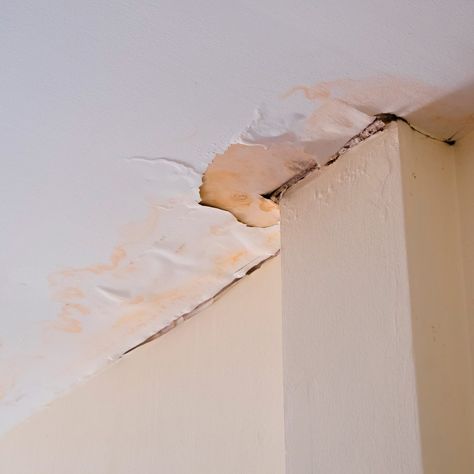 Carpenter Projects, Painting Popcorn Ceiling, Water Damaged Ceiling, Repair Ceilings, Ceiling Leak, Ceiling Repair, Ceiling Covering, Removing Popcorn Ceiling, Wood Plank Ceiling