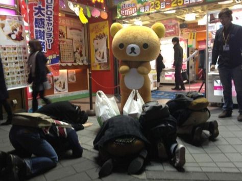 Internet Culture, Kawaii Shop, Rilakkuma, Funny Images, Dumb And Dumber, Cool Photos, Tokyo, Funny Pictures, Teddy Bear