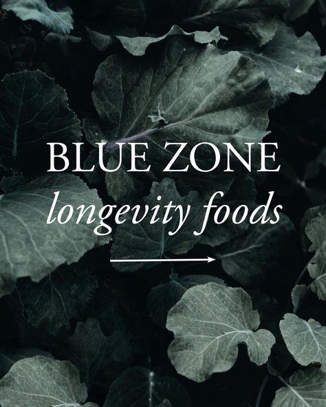 Swipe left for a Blue Zone-inspired shopping list! Which of these foods are you adding to your grocery cart this week? To learn how to embody health-promoting practices from the Blue Zones, visit the link in our bio. Or comment 🌎 and we’ll send you the link! Longevity Recipes, Grocery Cart, Blue Zone, Blue Zones, Shopping List, To Learn, Health, Blue, Instagram