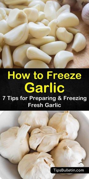 Freezing Garlic, Freezing Food Guide, Freezing Fresh Herbs, Freezing Fruit, Freezing Vegetables, Canning Food Preservation, Garlic Puree, Freezer Meal Prep, Toasted Bread