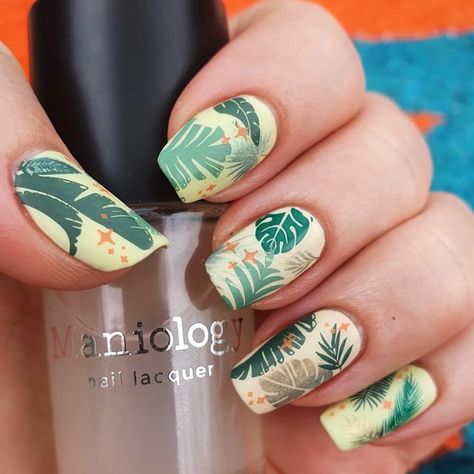 Monstera Plant Nails, Safari Classroom, Paradise Nails, Leopard Nail Designs, Palm Nails, Cheetah Nail Designs, Natural Nail Care, Cheetah Nails, Back To School Nails