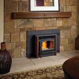 Transitional Fireplaces by Travis Industries, Inc. Pellet Stove Fireplace Insert, Pellet Stove Insert, Pellet Fireplace Insert, Transitional Fireplaces, Best Pellet Stove, Pellet Fireplace, Insert Stove, Wood Burning Fireplace Inserts, Pellet Stove Inserts