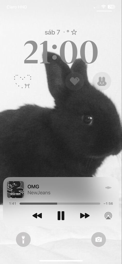 Newjeans Rabbit Icon, Phone Arrangement Ideas, Rabbit Lockscreen, Rabbit Wallpaper Iphone, Kpop Lockscreen Ideas, Kpop Lockscreen Aesthetic, Ios Homescreen Wallpaper, Lockscreen Inspiration, Wallpaper Rabbit