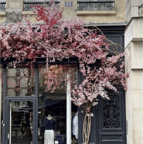 Storefront Flower Installation, Shop Front Flower Installation, Boutique Exterior Store Fronts, Boutique Exterior, Boutique Window Displays, Storefront Design, House Design Exterior, Ivy House, House Photo