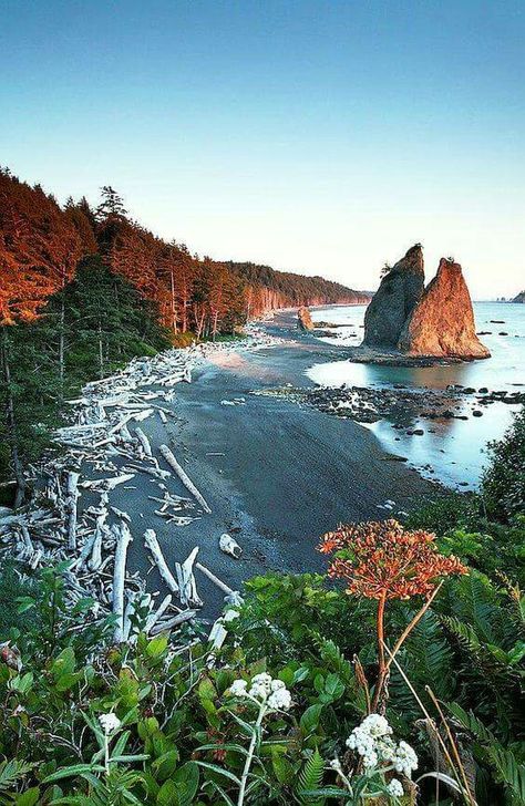 California USA Rialto Beach, Olympic National Park Washington, Washington Travel, Olympic National Park, Camping Equipment, To Infinity And Beyond, Rock Formations, Washington State, Vacation Spots