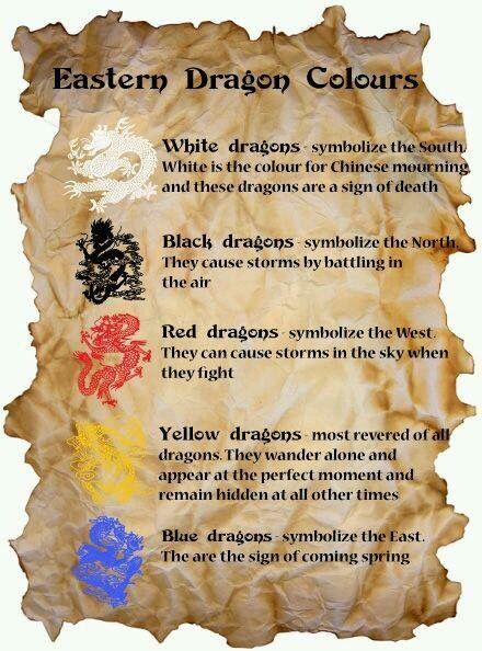 Eastern dragon colors Dragon Meaning, Dragon Quotes, Dragon Energy, Eastern Dragon, Cardinal Directions, Dragon Dreaming, Magia Das Ervas, Yellow Dragon, Animal Spirit Guides