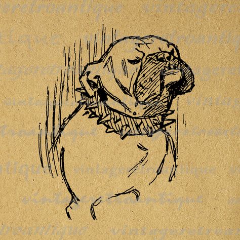 Printable Image Bulldog Dog Graphic Illustration Digital Download Vintage Clip Art  @ vintageretroantique.com #Printable #Digital #Image #Art #VintageRetroAntique #Clipart #Download #Vintage #Antique #Artwork #Illustration Bulldog Illustration, Bulldog Images, Vintage Clip Art, Printable Animals, Antique Illustration, Clip Art Vintage, Dog Images, Illustration Digital, Vintage Clip