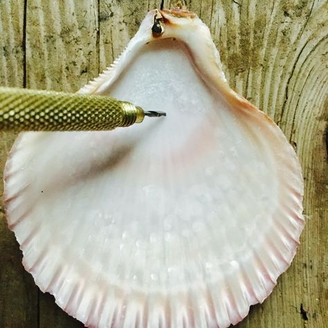 Oyster Shell Crafts, Seashell Projects, Art Coquillage, Shells Diy, Shell Crafts Diy, Painted Shells, Shell Decor, Seashell Jewelry, Oyster Shells