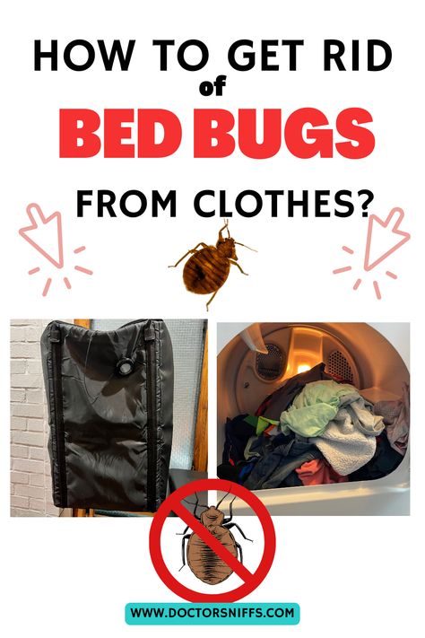 How to get rid of bed bugs from clothes How To Clean Bed, Bed Bug Remedies, Bed Bug Trap, Get Rid Of Bed Bugs, Bug Spray Recipe, Kill Bed Bugs, Rid Of Bed Bugs, Bed Bug Bites, Clean Bed