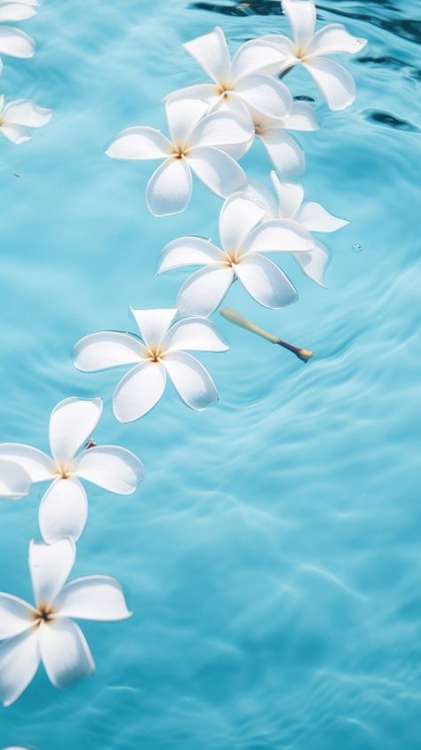 Plumeria Flowers Aesthetic, Plumeria Aesthetic, Coral Aesthetic, Aesthetic Android, July Background, Ocean Coral, Background Pics, Plumeria Flowers, Phone Screen Wallpaper