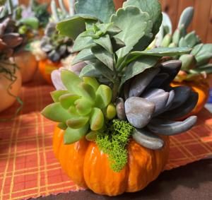 Doll Head Planter, Fall Patio Decor, Fall Flower Pots, Table Decor Thanksgiving, Pumpkin Floral Arrangements, Fall Patio, Succulent Pumpkin, Plant People, Thanksgiving Table Decor