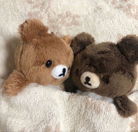 Teddy Bears, Light Brown, Bears, Bed, White