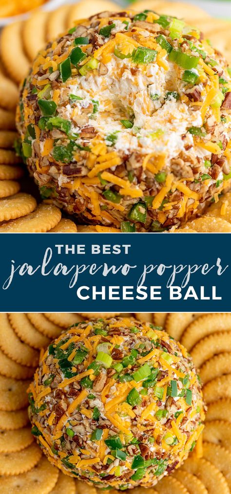 Cheese Ball Jalapeno Bacon, Jalepeno Popper Cheese Balls, Jalopena Popper Cheese Ball, Jalapeno Poppers Cheese Ball, Jalepeno Popper Cheeseball Recipe, Jalapeno Cheese Ball Recipes, Jalapeno Popper Cheeseball, Jalapeno Cheese Ball Recipes Easy, Bacon Jalapeño Popper Cheese Balls