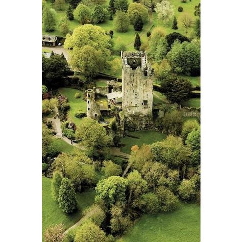 Castles by the sea ❤ liked on Polyvore featuring backgrounds, photos, castles, art and pictures Blarney Castle Ireland, Blarney Castle, Blarney Stone, Castle Ireland, Irish Castles, County Cork, I'm A Loser, Ireland Landscape, Photographer Inspiration