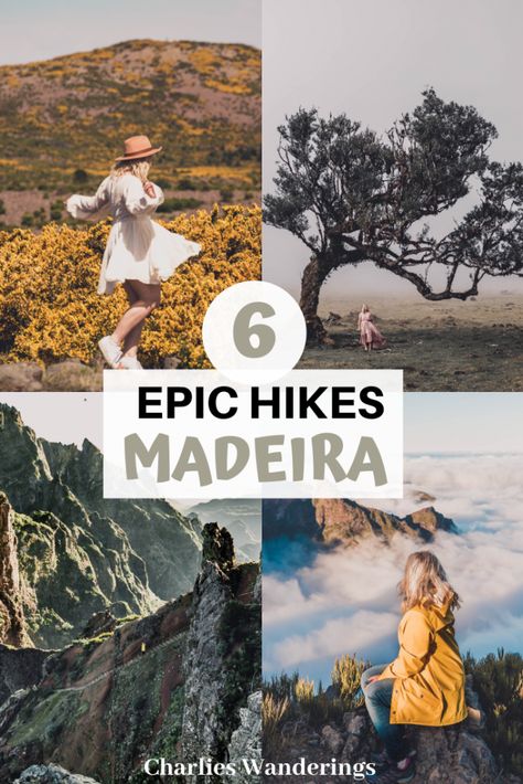 Top 6 Best Hiking Trails in Madeira - Charlies Wanderings Random Places, Gilgit Baltistan, Beautiful Hikes, Voyage Europe, Beautiful Castles, Portugal Travel, Spain And Portugal, Road Trip Itinerary, Europe Travel Tips