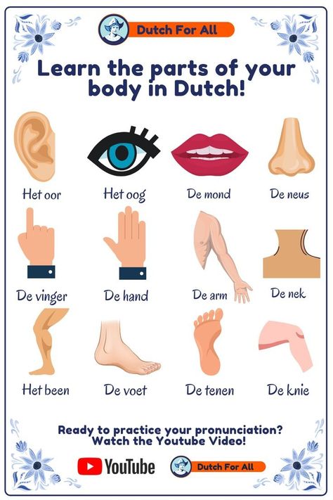 Dutch Learning, Dutch Vocabulary, Dutch Phrases, Words In Different Languages, Dutch Words, Dutch Language, I Amsterdam, World Languages, Grammar Worksheets