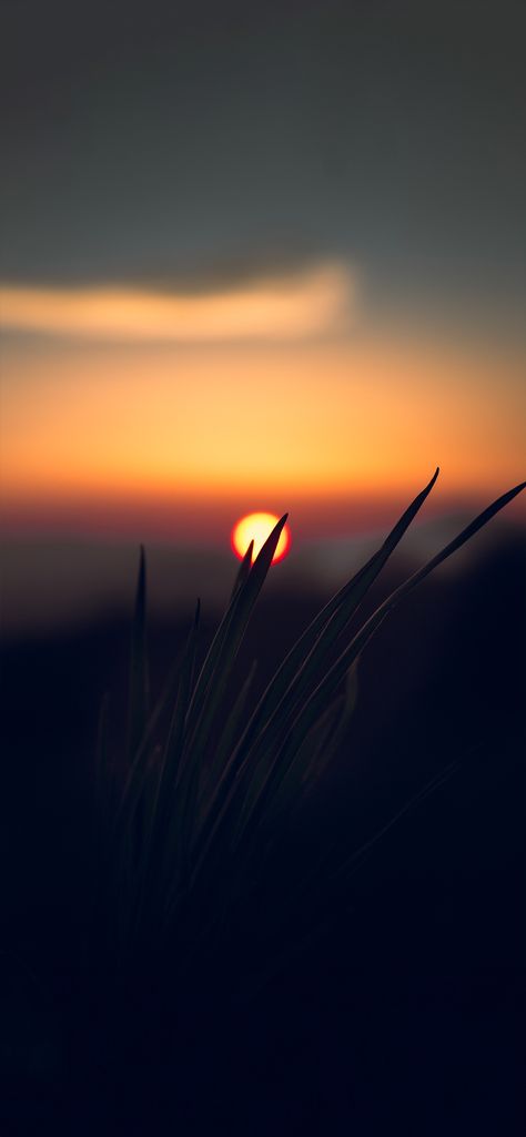 Sun Dawn, Sunset Iphone Wallpaper, Galaxy Wallpapers, Iphone Wallpaper Hd Nature, Car Wallpaper, Dark Phone Wallpapers, Graffiti Wallpaper, Sky Landscape, Iphone Backgrounds