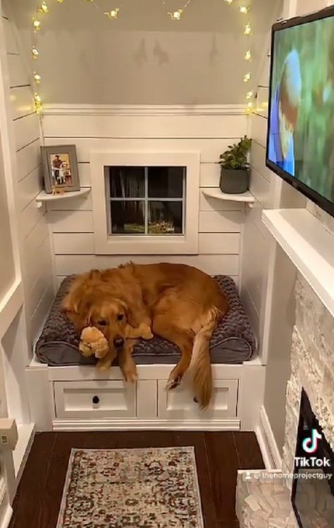 Dogs Apartment Living, Dogs House Indoor, Understairs Dog House, Cute Dog Houses Indoor, Doghouse Indoor, Dog Bed Room, Dog Houses Indoor, Dog Space Ideas, Dog Playroom