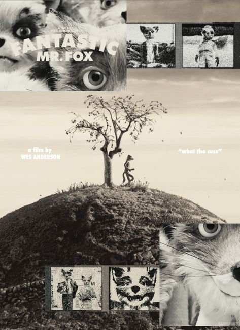 Fantastic Mr Fox Poster, Mr Fantastic, Fantastic Fox, Mister Fantastic, Fox Poster, Fantastic Mr Fox, Counting Stars, Mr Fox, Graphic Design Inspiration