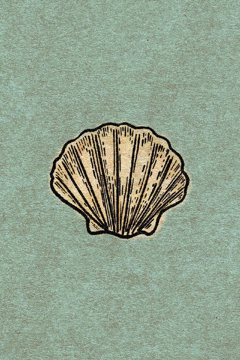 A perfect little shell in a vintage style illustration for the old souls. // shell. blue. cream. coastal. shells. sea. retro. etching. vacation. aquamarine. aqua. boho. conch. seashells. colour. ocean. home decor. breezy. beachy. beach. sand. tropical. vintage. summer. waves. wave. sunny. coral. snorkelling. scuba. diver. nautical. diving. island. marine biology. sage. old. distressed. Sea Shell Illustration, Shells Illustration, Shell Illustration, Threads Instagram, Seashell Illustration, Sc Logo, Shell Graphic, Ocean Home Decor, Old Souls