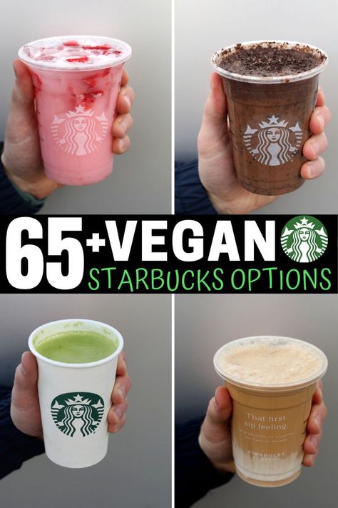 This list has all of the best Starbucks vegan drinks you can order. And with over 65 dairy free Starbucks drinks to choose from, you'll always have a new option to try! Plant Based Starbucks Drinks, Vegan Drinks At Starbucks, Starbucks Vegan Drinks, Vegan Starbucks Drinks Coffee, Starbucks Images, Dairy Free Starbucks Drinks, Vegan Holiday Drinks, Dairy Free Starbucks, Vegan Starbucks Drinks