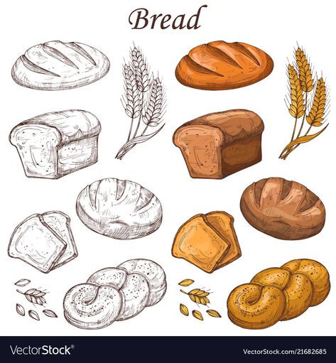 Bakery Elements, Bakery Icon, Ink Sketchbook, Food Logo Design Inspiration, Fresh Snacks, Kid Recipes, Vector Elements, Bread Loaf, Neutral Paint Colors