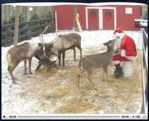 Reindeer Cam is Santa’s official reindeer live feed that is so fun to watch. Santa feeds them at 10:00 am and 5:00 pm every day live Reindeer Cam, Christmas Tablescape, Christmas Time Is Here, Merry Little Christmas, Christmas Is Coming, Ho Ho Ho, Christmas Activities, Christmas Stuff, Christmas Joy