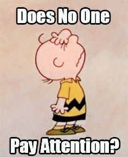 Snoopy Icons, Charlie Brown Cartoon, Peanuts Quotes, Brown Cartoon, Scan App, Things Kids Say, Sewing Quotes, Brown Quotes, Cartoon Fun