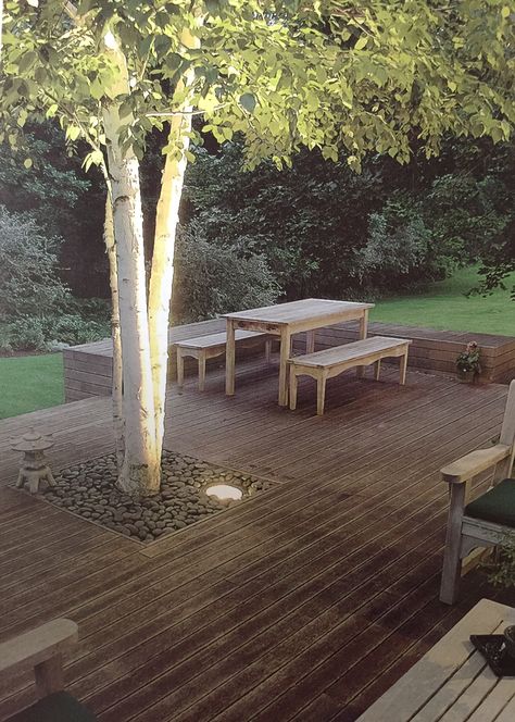 Tree Growing Through Deck, Tree In Decking, Tree In Deck, Decking Around A Tree, Patio With Tree In Middle, Under Tree Seating Area Ideas, Deck With Tree In Middle, Deck With Trees Through Them, Deck Around Tree Ideas