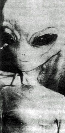 Alien Pictures, Earth Gif, Alien Photos, Gif Terror, Aliens Exist, Grey Alien, The Boogeyman, Alien Abduction, Aliens And Ufos