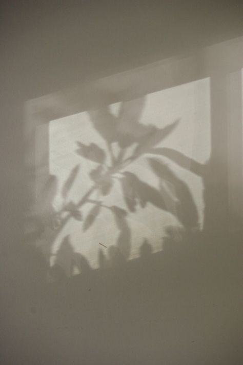 Leaves Shadow, Shadow Photography, Shadow Play, Pottery Ceramics, Home Decor Online, Photo Images, Slow Living, White Aesthetic, Aesthetic Backgrounds