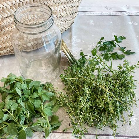 This simple storage method is guaranteed to extend the shelf life of your fresh herb clippings. All you need is your herbs and a mason jar! Fresh Herbs Storage, Storing Fresh Basil, Preserve Fresh Herbs, Store Fresh Herbs, Drying Fresh Herbs, Herb Storage, Preserving Herbs, Harvesting Herbs, Herbs De Provence