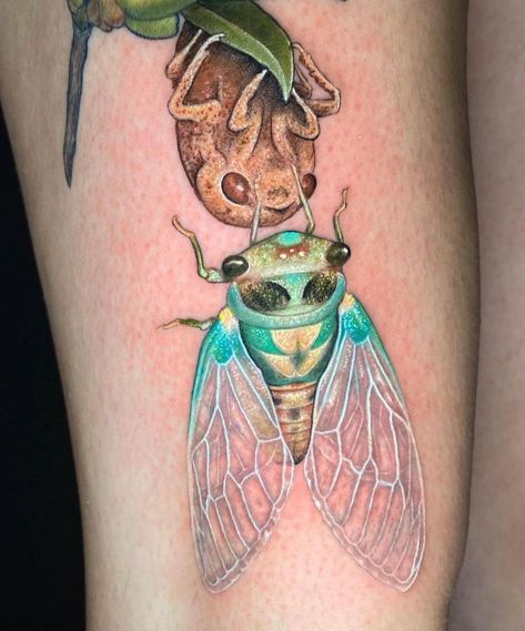 Realistic Bug Tattoo, Insect Tattoos, Cicada Tattoo, Beetle Tattoo, Traditional Tattoo Designs, Insect Tattoo, Bug Tattoo, Arte Punk, Moth Tattoo