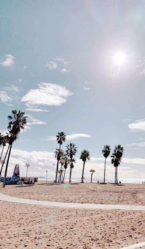 Palm Trees in Venice Beach, Los Angeles #palmtrees #venicebeach #losangeles #la #beach Palm Tree Iphone Wallpaper, Los Angeles Palm Trees, Strand Wallpaper, Los Angeles Wallpaper, California Wallpaper, Tree Wallpaper Iphone, California Palm Trees, Palm Trees Wallpaper, Los Angeles Photography