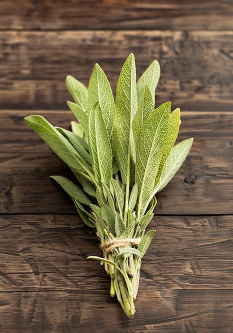 Soft, fuzzy sage leaves have a rich history and use culinary as well as medicinally. Sage has been used in Europe for centuries as a spice and a medicine. There are many different species of sage, perhaps as many as … Continue reading → Sage Spice, Baked Polenta, Spaghetti Alla Carbonara, Mother Earth Living, Chocolate Covered Marshmallows, Savory Dishes, Sage Leaves, Three Cheese, Corn On Cob