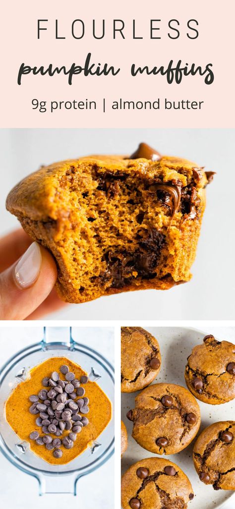 Flourless Pumpkin Muffins, Pumpkin Muffins With Chocolate Chips, Muffin Pumpkin, Healthy Pumpkin Chocolate Chip Muffins, Pumpkin Protein Muffins, Paleo Pumpkin Muffins, Muffins With Chocolate Chips, Muffins With Chocolate, Mini Chocolate Chip Muffins