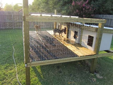 Click this image to show the full-size version. Dog Kennel Ideas Outdoor, Kennel Ideas Outdoor, Cheap Dog Kennels, Dog Kennel Ideas, Outdoor Dog Kennel, Dog Kennel Designs, Rabbit Hunting, Puppy Kennel, Dog Pens