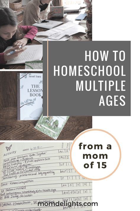 How to Homeschool Multiple Ages • Mom Delights Homeschooling Multiple Ages, Christian Homeschool Curriculum, Relaxed Homeschooling, Home Education Uk, How To Homeschool, Christian Homeschool, School Plan, Homeschool Encouragement, Homeschooling Ideas