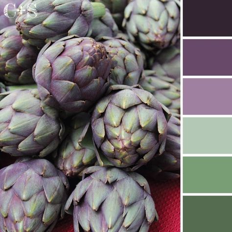 artichoke color scheme Lavender Color Palette, Knitting Room, Colours That Go Together, Seeds Color, Pantone Palette, Purple Color Palettes, Natural Palette, Brown Color Palette, Design Seeds