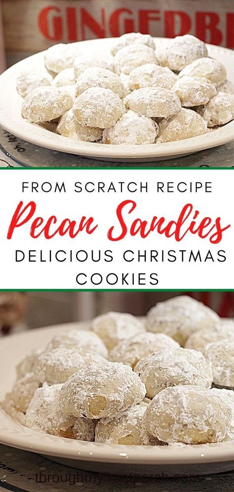 This pecan sandies cookie recipe is my all time favorite to bake come the holiday season. So easy and yummy. These little shortbread cookies melt in your mouth! Pecan Sandies Cookies, Sandies Recipe, Sandies Cookies, Pecan Sandies, Mexican Wedding Cookies, Delicious Christmas Cookies, Pecan Cookies, Lost 100 Pounds, I Quit