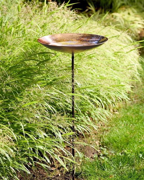 The Garden Shop: Find everything you need to create a lush, green getaway—from planters to bird baths, to garden boxes and more. Birdbath Garden, Light And Dwell, Interior Design Resources, Bird Baths, Contract Design, Arbour Day, Iron Hardware, Garden Backyard, Habitat For Humanity