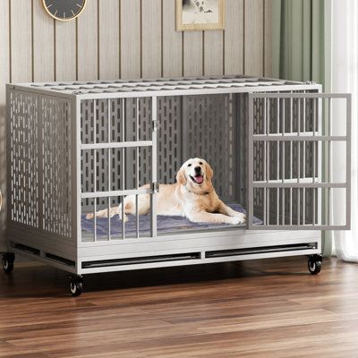 This dog cage furniture is made of all metal and can be folded without complicated assembly, making it extremely durable and stable. Choose a dog crate that looks good and fits so your dog can play comfortably. | Tucker Murphy Pet™ RERORD 48 Inch Heavy Duty Dog Crate w/ Wheels, Folding Metal Big Dog Cage Extra Large Dog Crate gray | C110257757 | Wayfair Canada Big Dog Cage, Xxl Dog Crate, Extra Large Dog Crate, Pet Pen, Double Dog Crate, Heavy Duty Dog Crate, Large Dog Crate, Dog Cage, Dog Cages