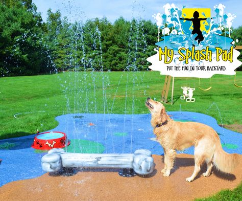 Captain loves the Dog Bone feature for this splash pad. A splash pad does not have to be for children, a dog can keep cool and hydrated with a backyard water park. Backyard Dog Playground, Dog Pools, Dog Park Ideas, Backyard Water Parks, Dog Backyard, Kennel Ideas, Doggie Daycare, Water Playground, Splash Park