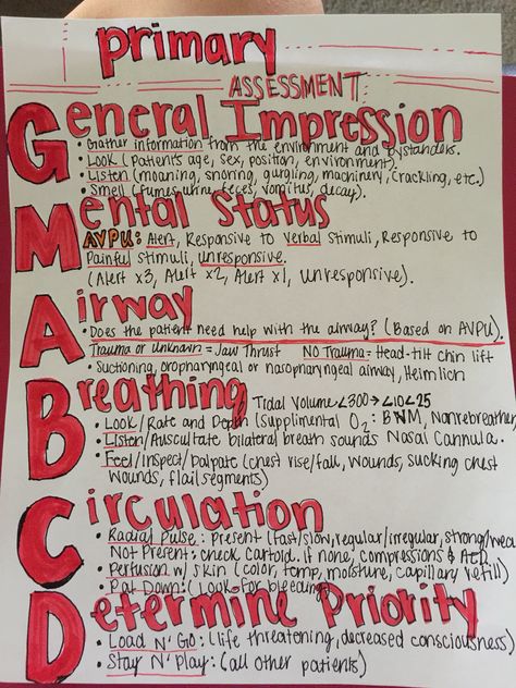 Steps to Primary Assessment (Initial Assessment) after Scene Size-Up Emt Assessment Cheat Sheets, Nremt Emt Patient Assessment, National Registry Emt Study, Emt Mnemonic, Patient Assessment Emt Cheat Sheets, Firefighter Study Notes, Emt Basic Pharmacology, Emt Basic Notes, Emt Medical Terminology