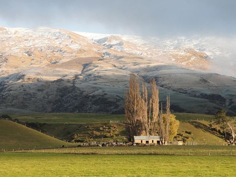 Nz Landscape, Bed Headboard Design, Central Otago, Headboard Design, Bed Headboard, Headboard Designs, Art References, Mount Rainier, Art Reference