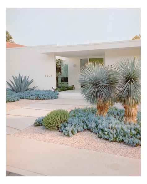 Modern Southwest Landscaping, Desert Scape Landscaping Ideas, Palm Springs Landscape Design, Modern Cactus Landscaping, Palm Springs Yard, Front Yard Landscaping Australian Modern, Desert Modern Living Room, Cactus Landscaping Front Yards, Arizona Front Yard Landscaping