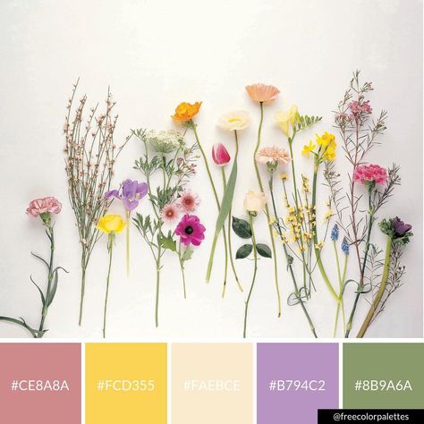 Floral | Flowers | Spring | Flatlay |Color Palette Inspiration. | Digital Art Palette And Brand Color Palette. Spring Flatlay, Color Palette Inspiration, Flower Mural, Art Palette, Spring Color Palette, Flower School, Spring Wildflowers, Palette Inspiration, Brand Color Palette